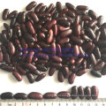 Top Quality Dark Red Kidney Bean Export Grade